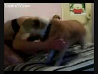 Horny fellow with his little pooch